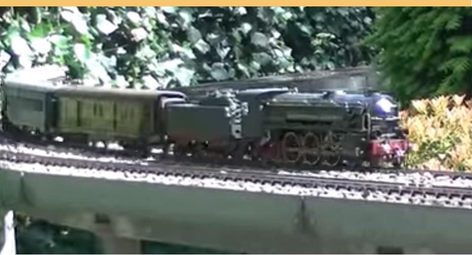 There are More Trains at the Bottom of his Garden!